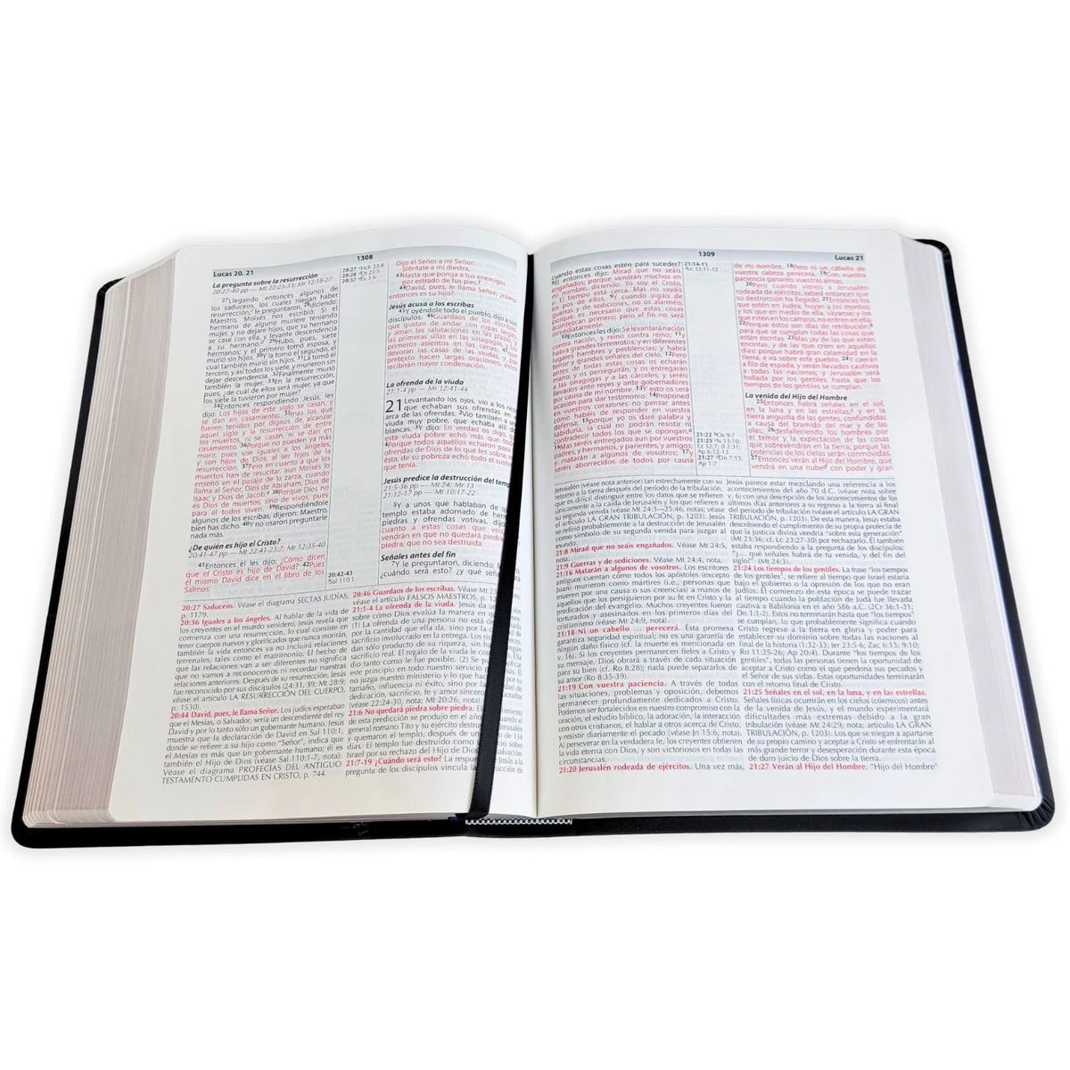 Biblia de Estudio de la Vida Plena RV1960, imit piel negro