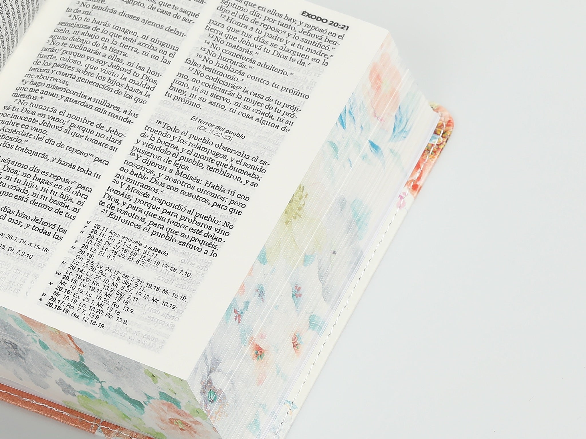 Biblia RVR60 bolsillo coral