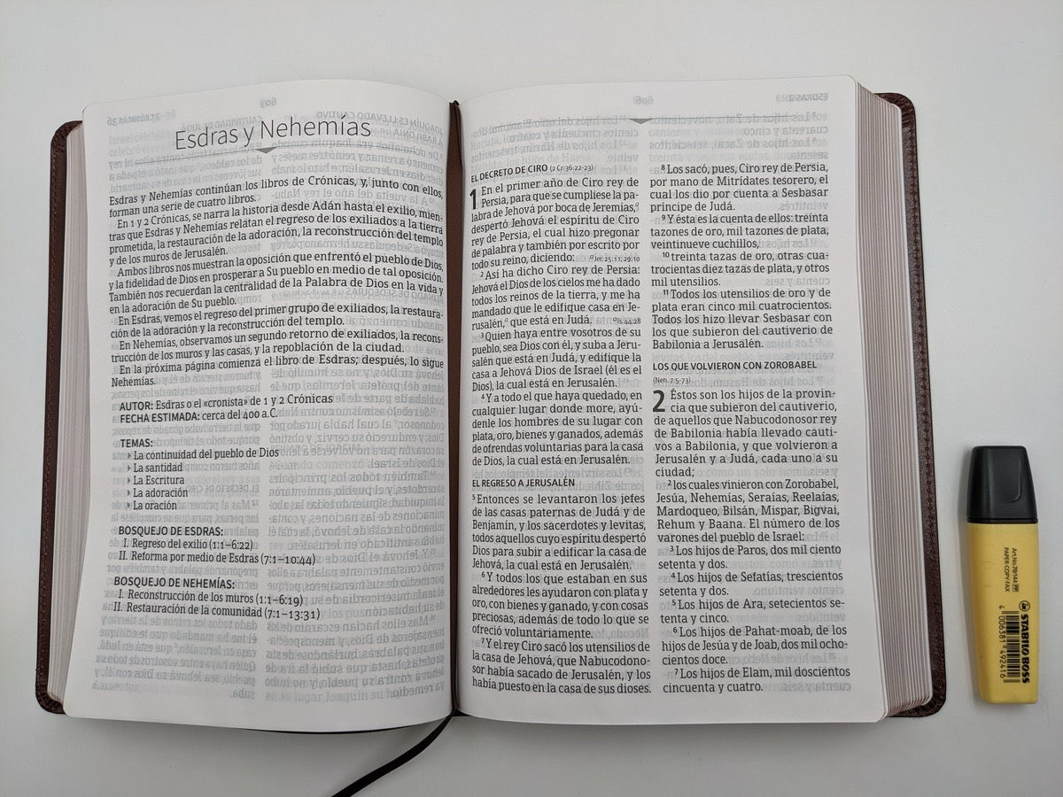 Biblia RVR 1960 Letra Súper Gigante Marrón