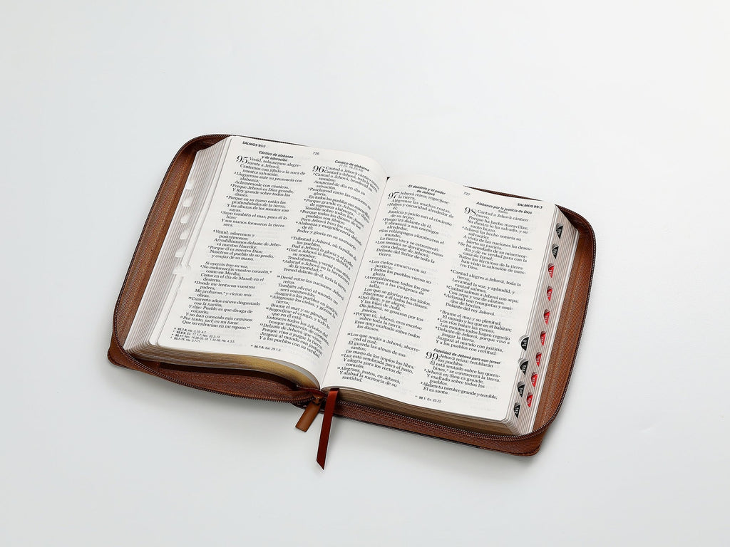 Biblia RVR60 Tamaño Manual letra grande aguila
