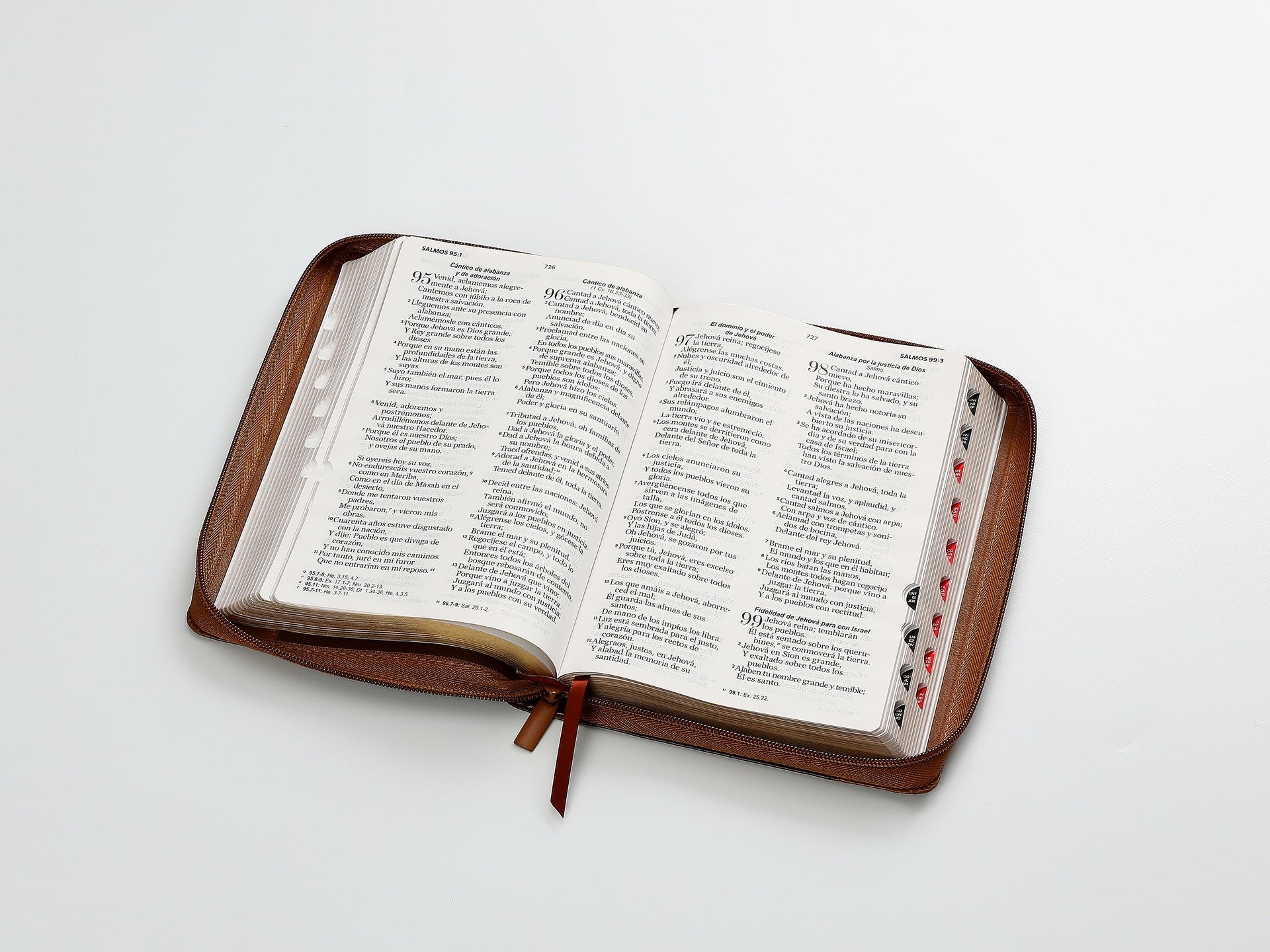 Biblia RVR60 Tamaño Manual letra grande aguila