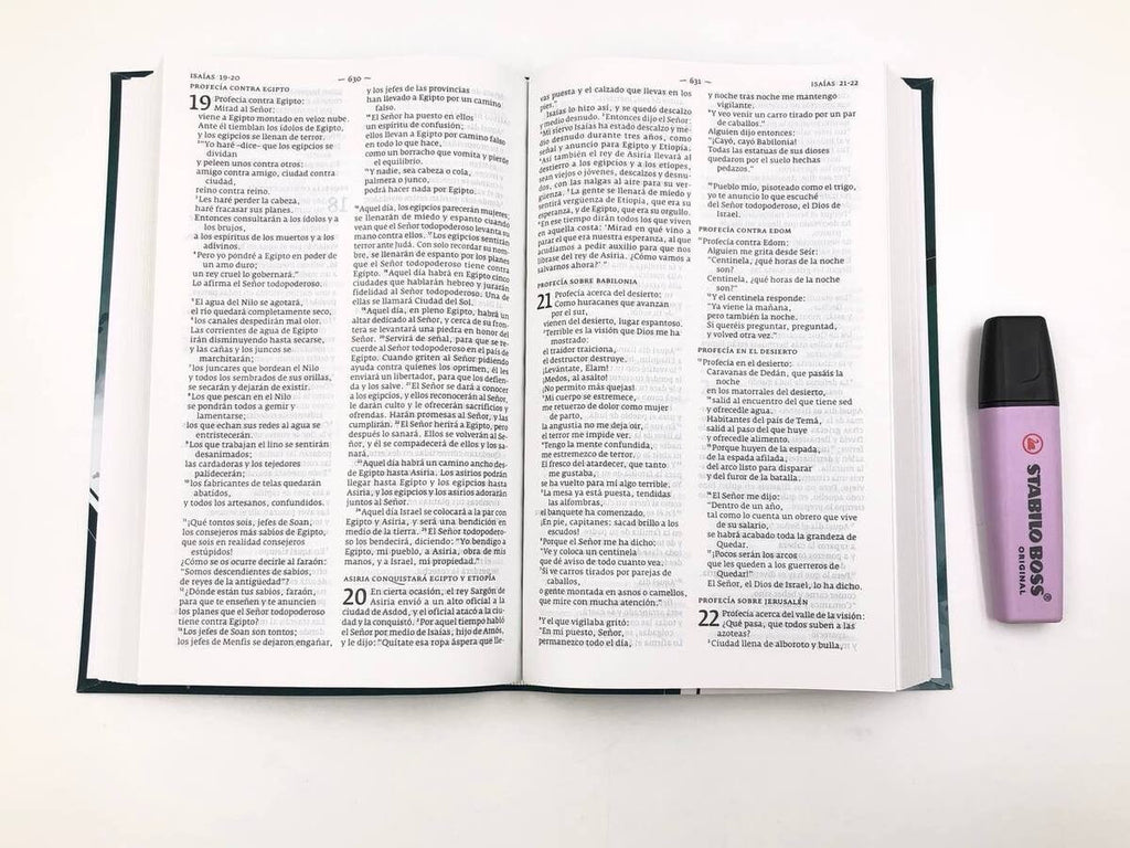 Biblia DHH tamaño Manual Verde