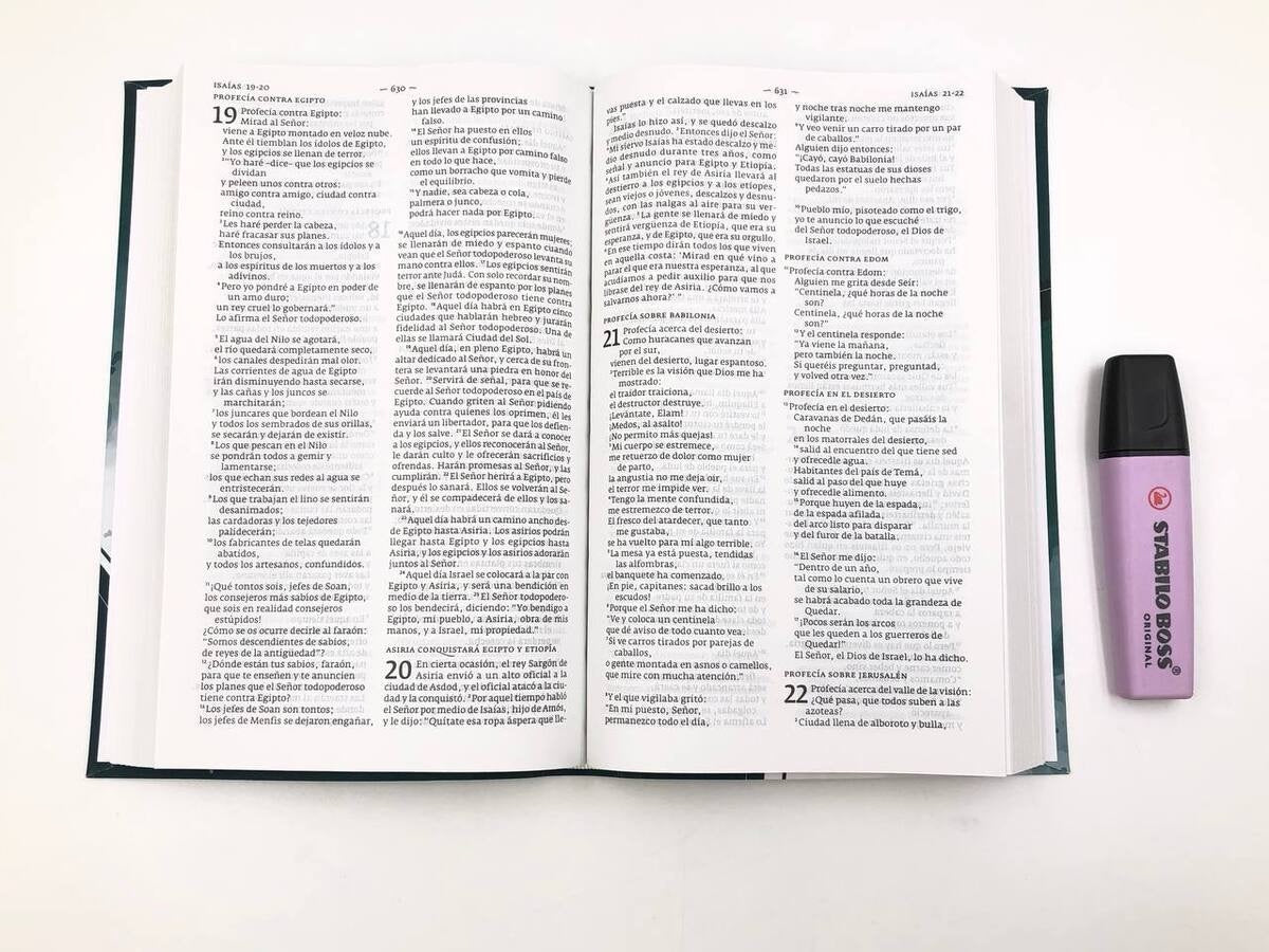 Biblia DHH tamaño Manual Verde