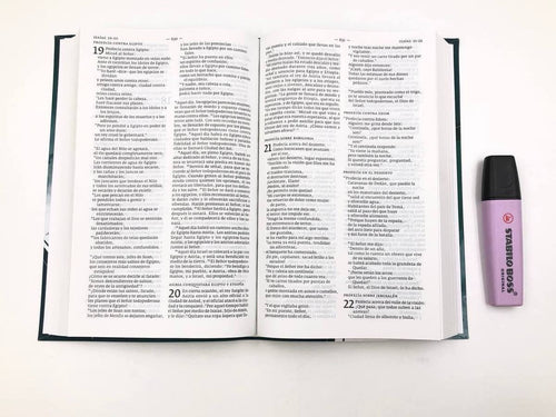 Biblia DHH tamaño Manual Verde