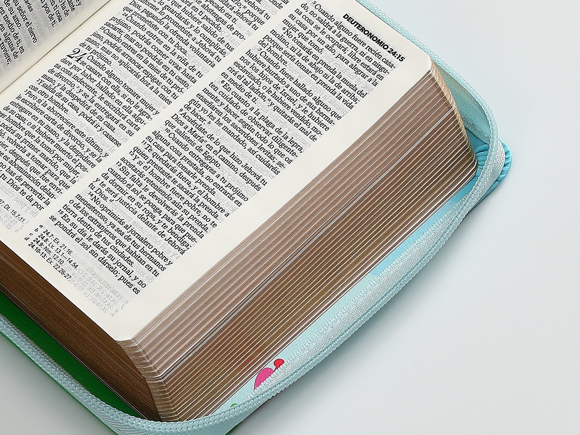 Biblia RVR60 tamaño bolsillo Primor azul