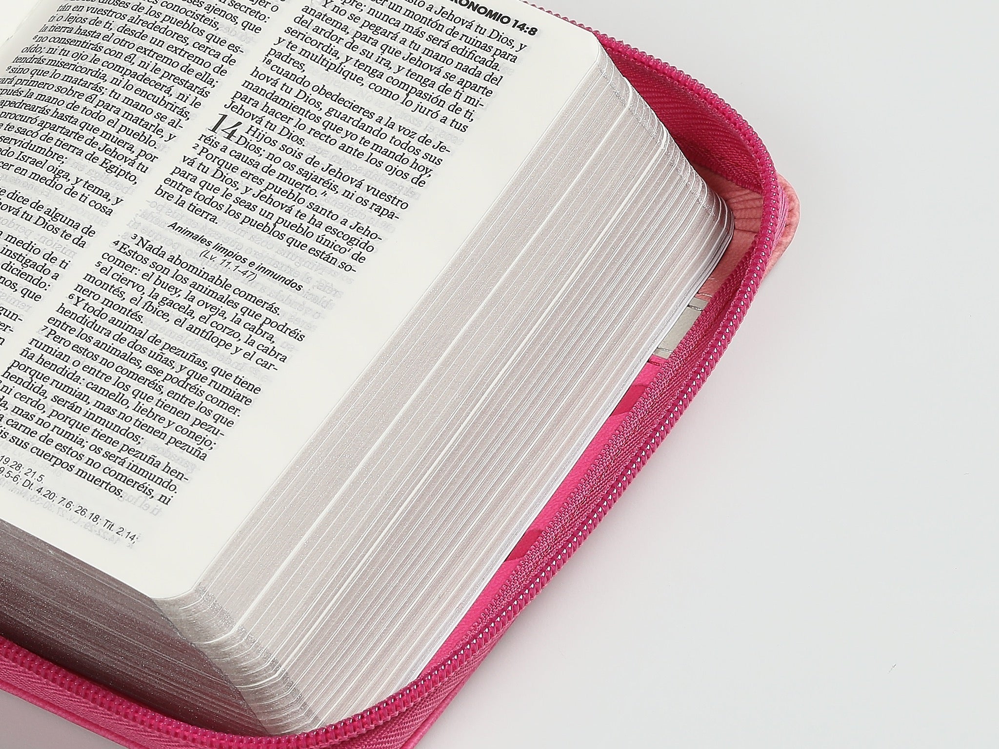 Biblia RVR60 de bolsillo Primor Fucsia