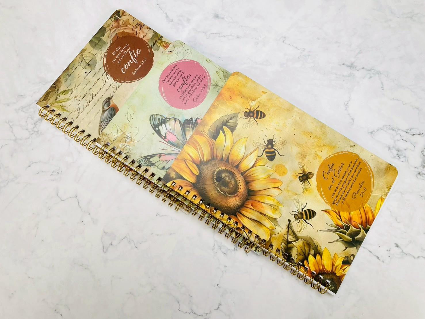 Pack 3 libretas GRANDES