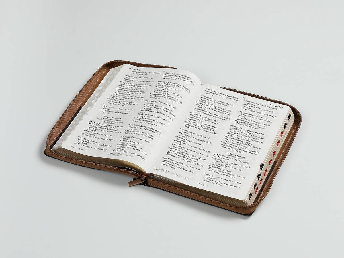 Biblia RVR60 Letra Gigante i/piel Bitono CAfé