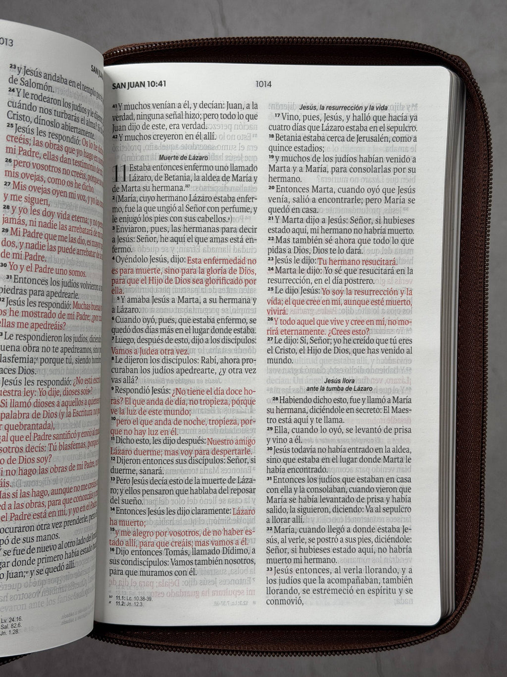 Biblia RVR60 de Obsequios y premios Marrón elegante con cierre