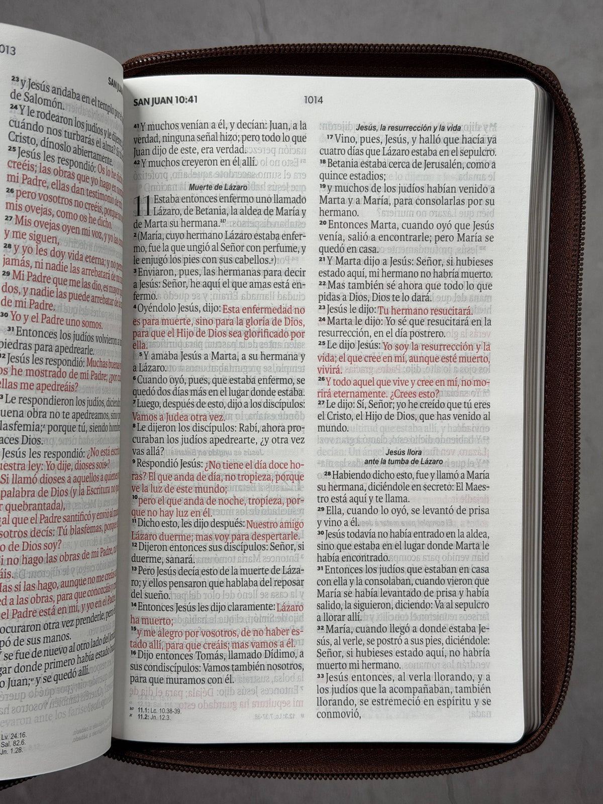 Biblia RVR60 de Obsequios y premios Marrón elegante con cierre