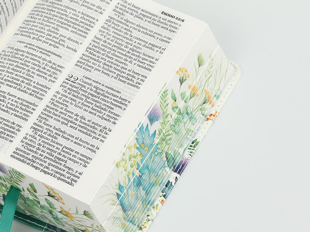 Biblia RVR60 bolsillo
