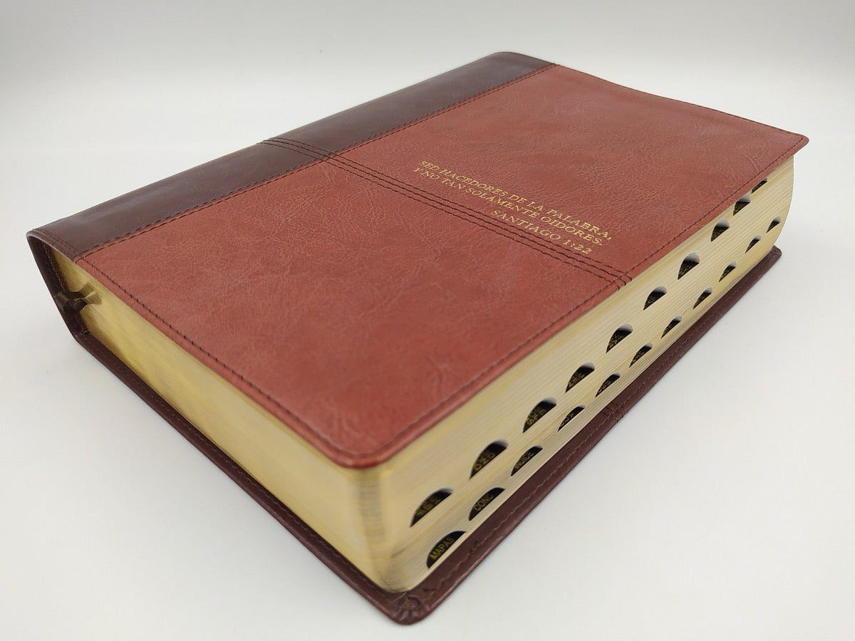 Biblia de estudio Diario Vivir RVR60 Piel Italiana Dos Tonos Marrón/Café con índice
