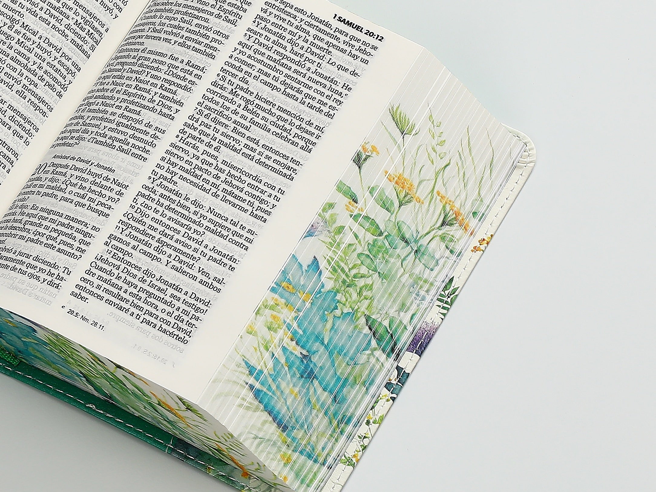Biblia RVR60 bolsillo