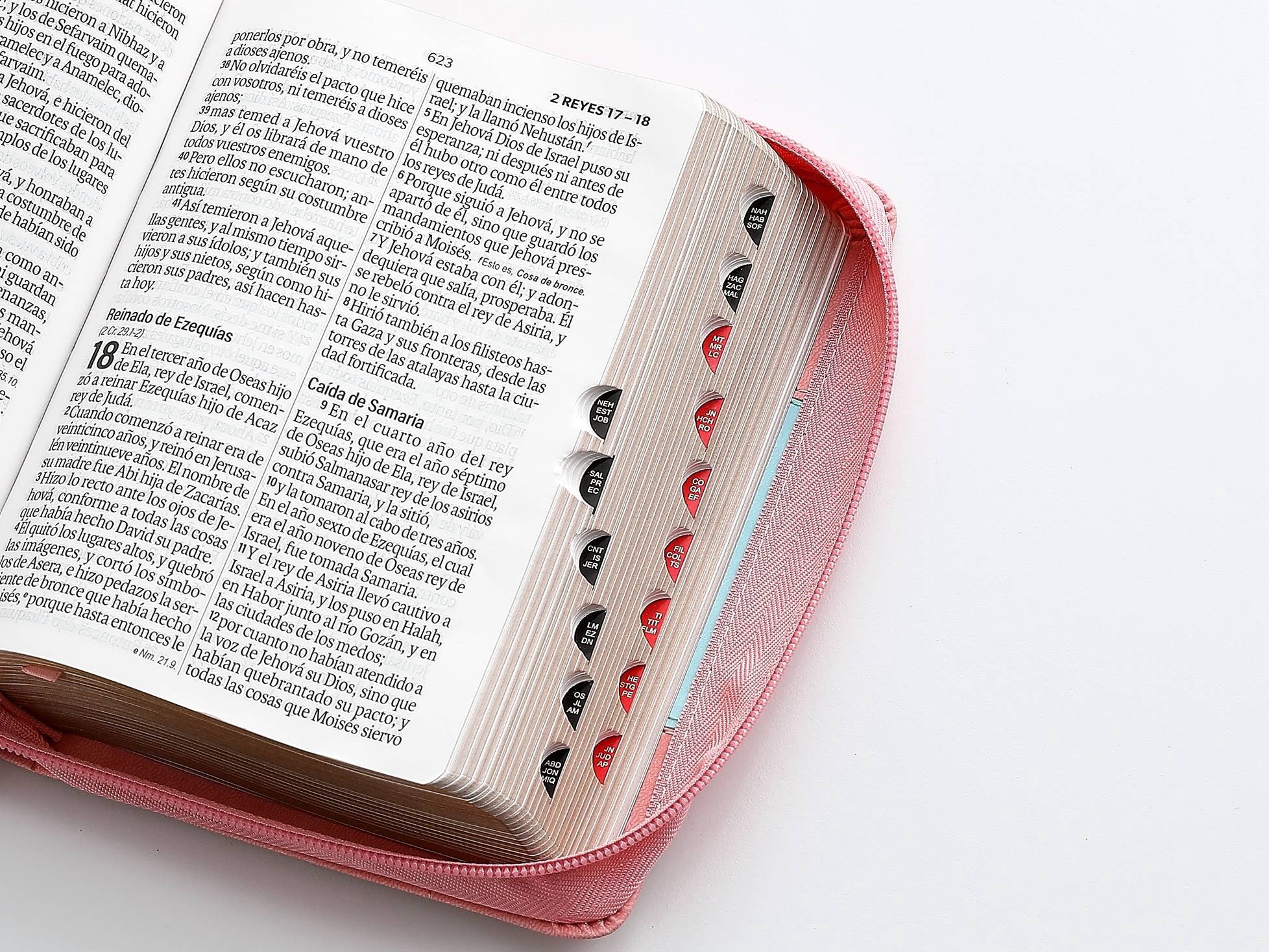 Biblia RVR60 Tamaño Compacto Letra Grande 12 puntos rosa