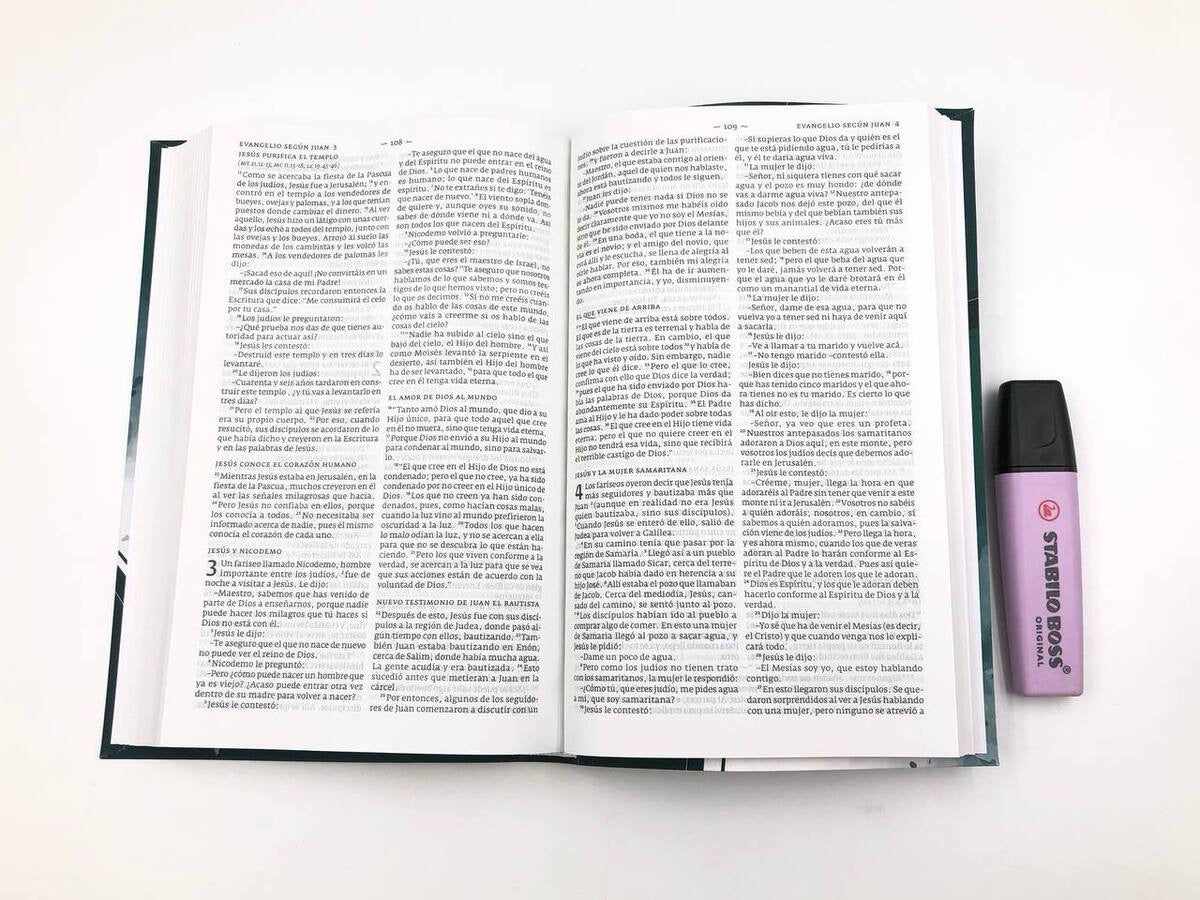 Biblia DHH tamaño Manual Verde