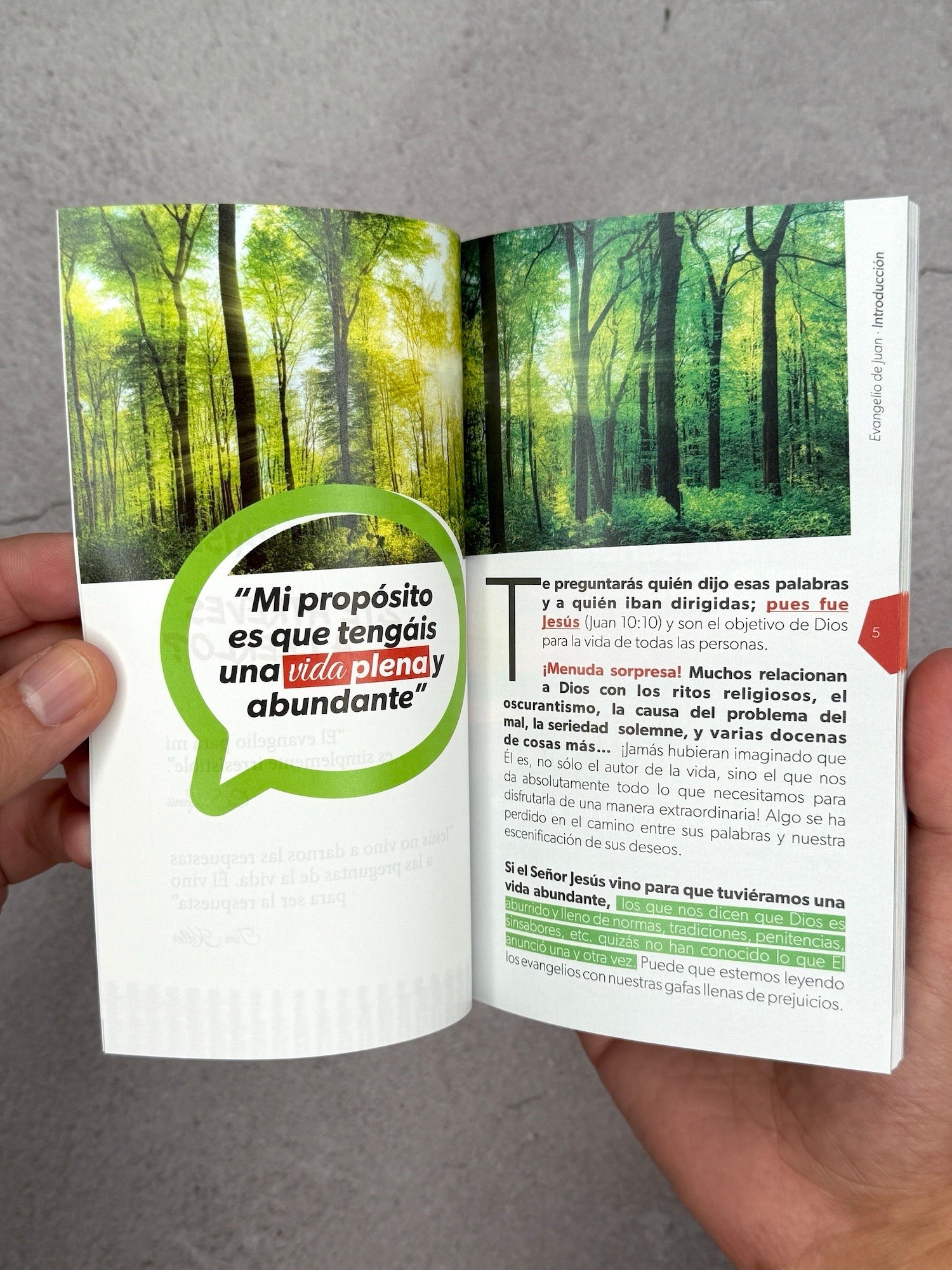 Biblia NVI Evangelio de Juan