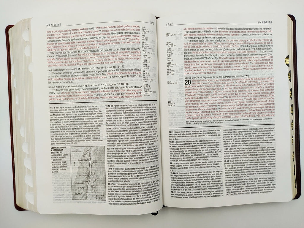 Biblia de estudio Diario Vivir RVR60 Piel Italiana Dos Tonos Marrón/Café con índice