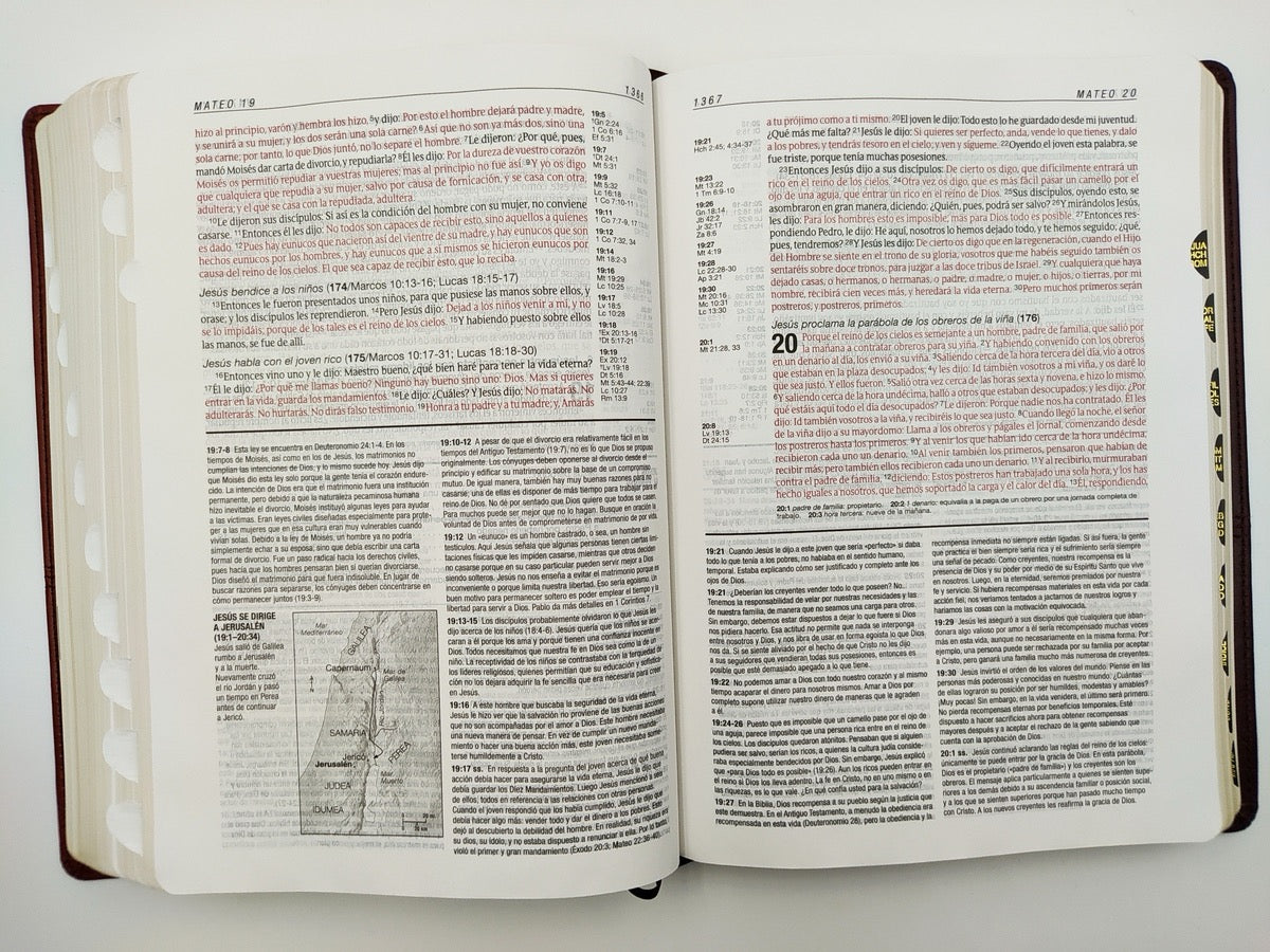 Biblia de estudio Diario Vivir RVR60 Piel Italiana Dos Tonos Marrón/Café con índice
