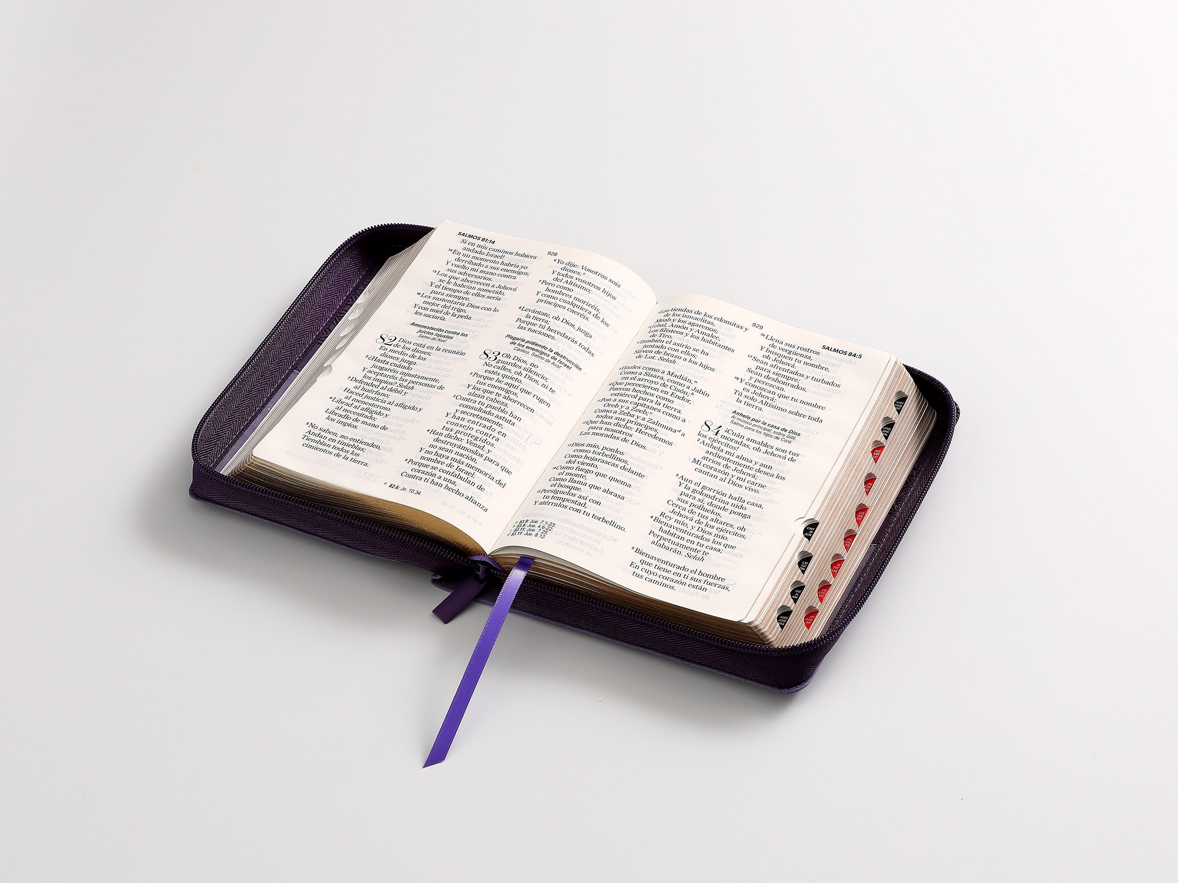 Biblia RVR60 portátil Letra 11 puntos piel con cierre lila