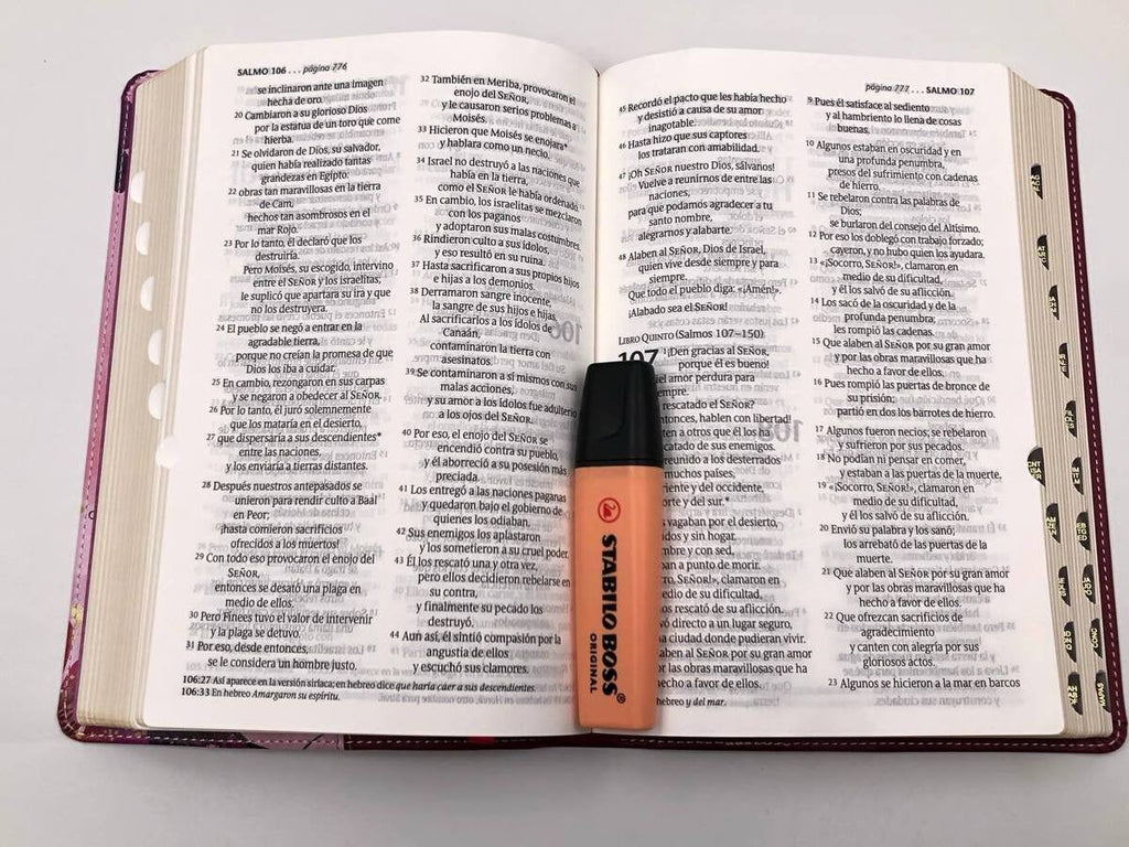 Biblia NTV Letra Grande Tamaño Personal con idnice