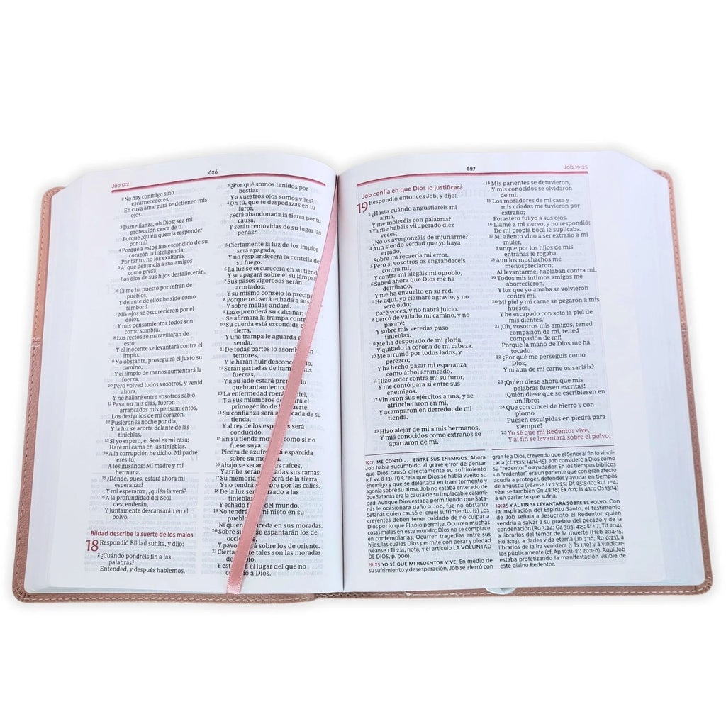 Biblia de Estudio de la Vida Plena RV1960, imit piel , oro rosa