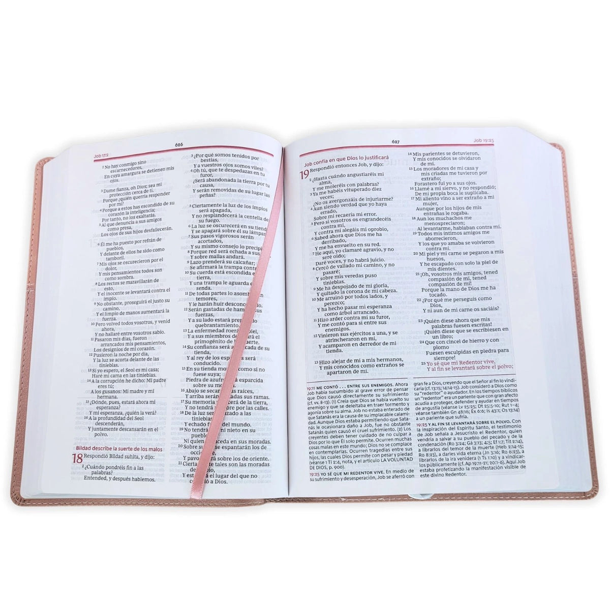 Biblia de Estudio de la Vida Plena RV1960, imit piel , oro rosa