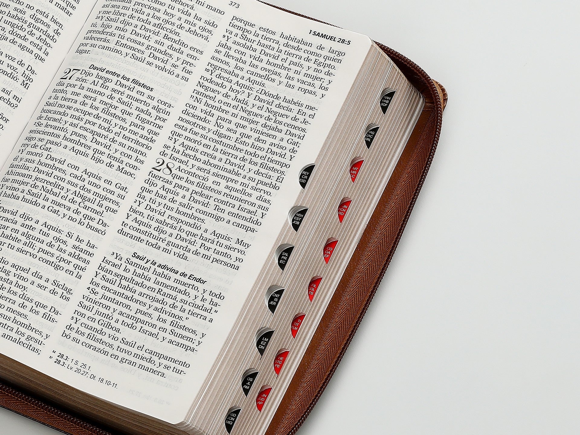 Biblia RVR60 Tamaño Manual letra grande aguila