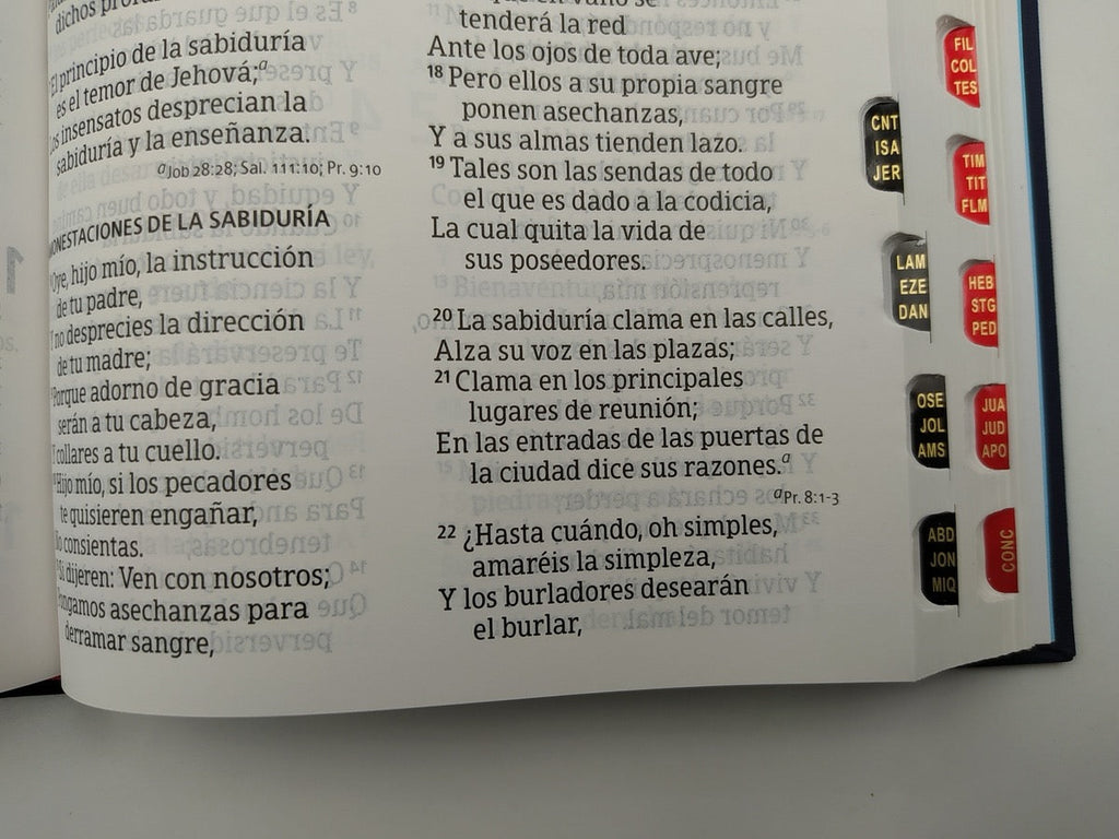 Biblia RVR 1960 Letra Grande Tamaño Manual Bordado con índice