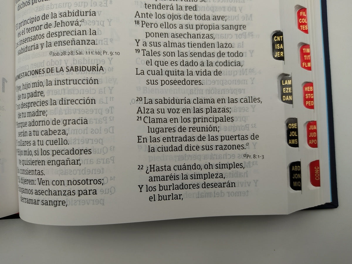 Biblia RVR 1960 Letra Grande Tamaño Manual Bordado con índice