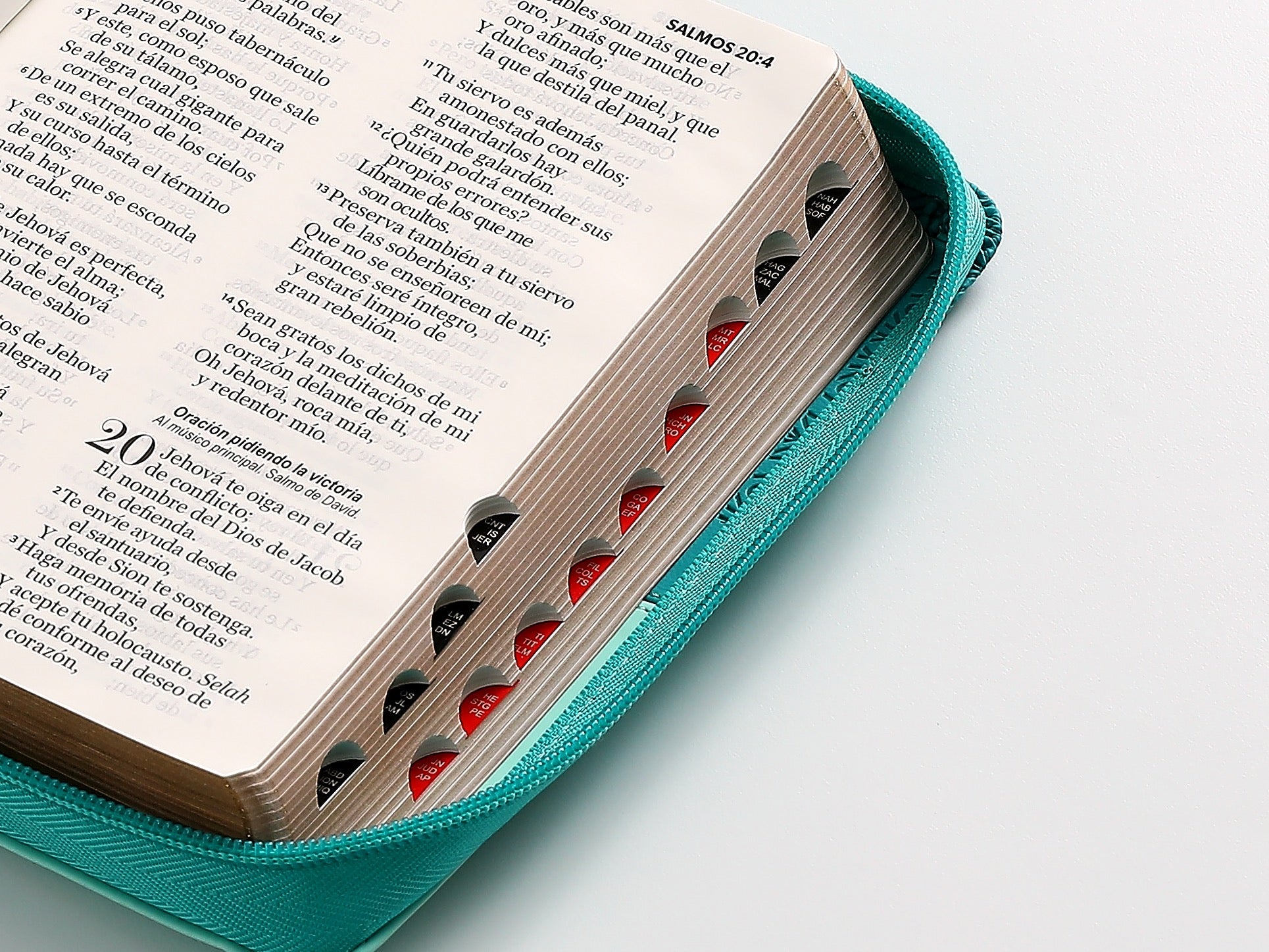 Biblia RVR60 portátil Letra 11 puntos i/piel con cierre turquesa
