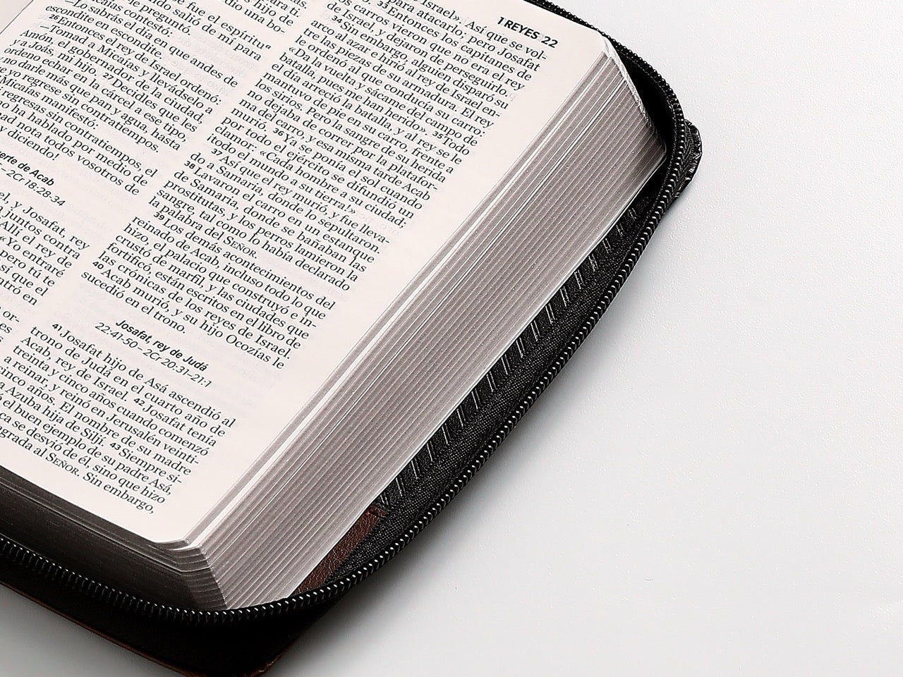 Biblia NVI Peninsular Portátil Letra Grande Negro