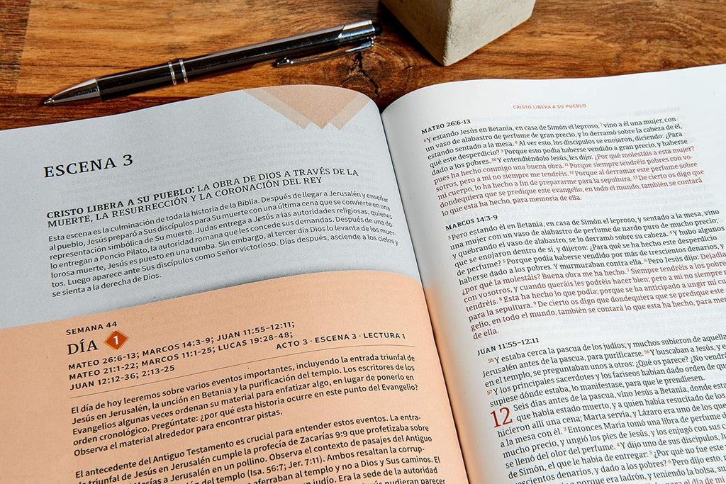 Biblia RVR 1960 Cronologica Día por Día Marrón Símil Piel