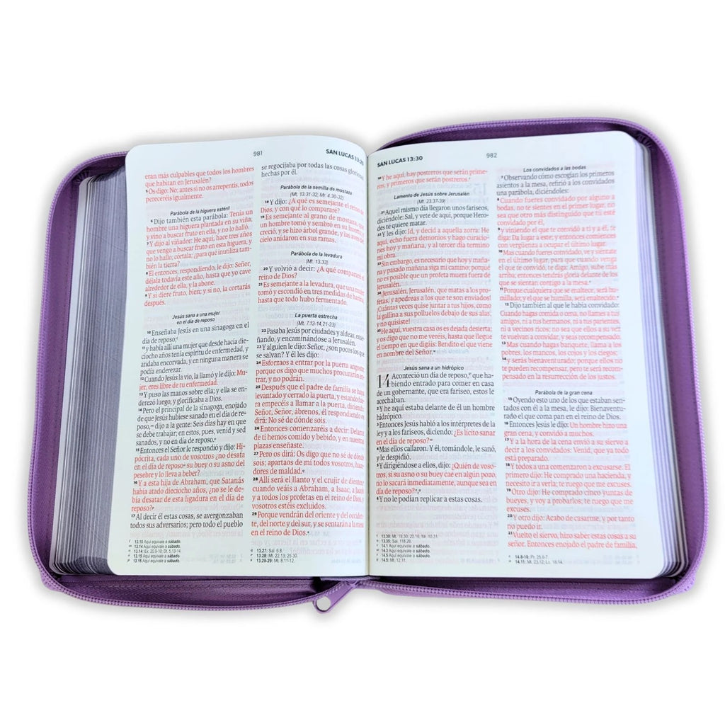 Biblia RVR60 Obsequios y premios MORADO CON FLOR DORADA