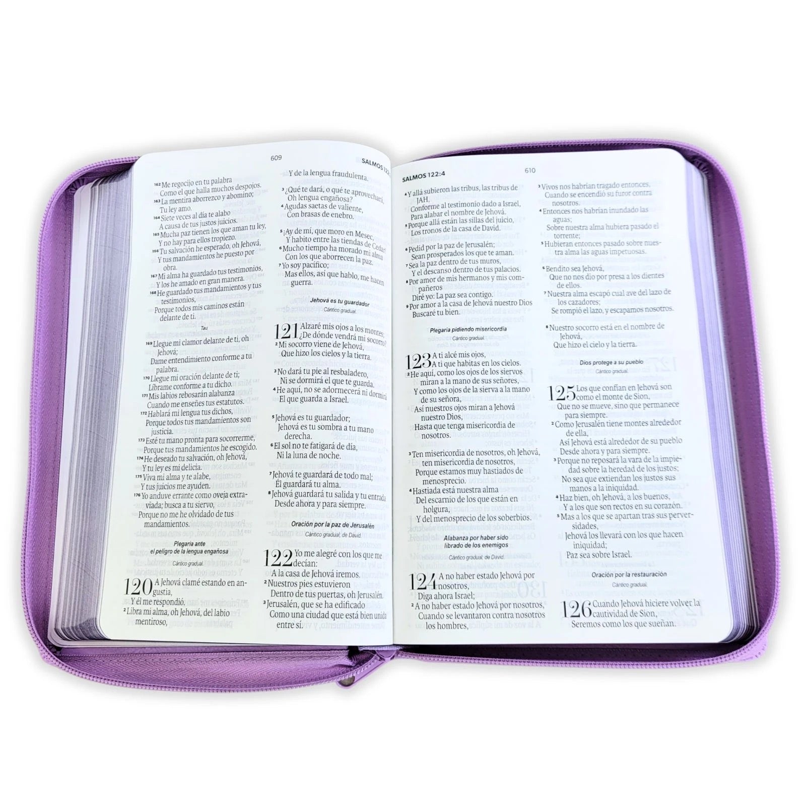 Biblia RVR60 Obsequios y premios MORADO CON FLOR DORADA