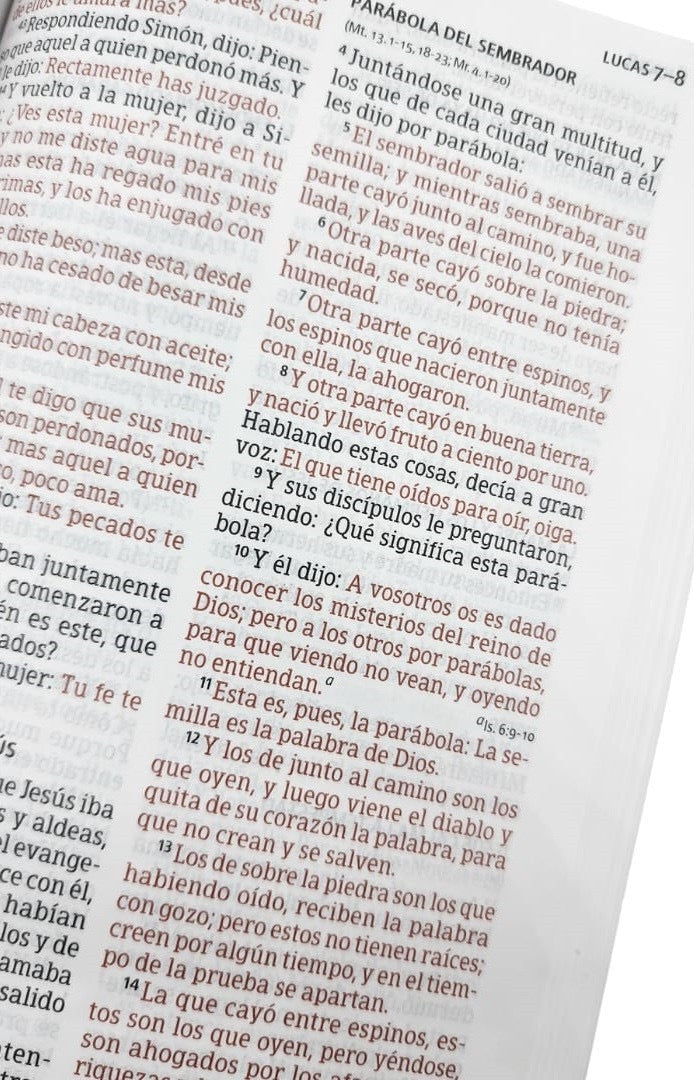 Biblia RVR 1960 Letra Grande Tamaño Manual Símil Piel Marrón