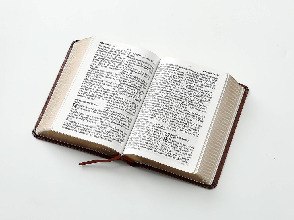 Biblia RVR60 tamaño compacto Letra Grande café