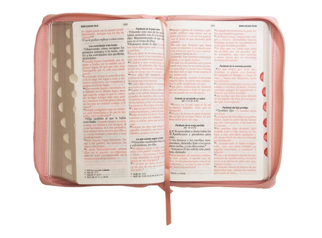 Biblia RVR60 Tamaño Manual Letra Grande rosa cierre indice
