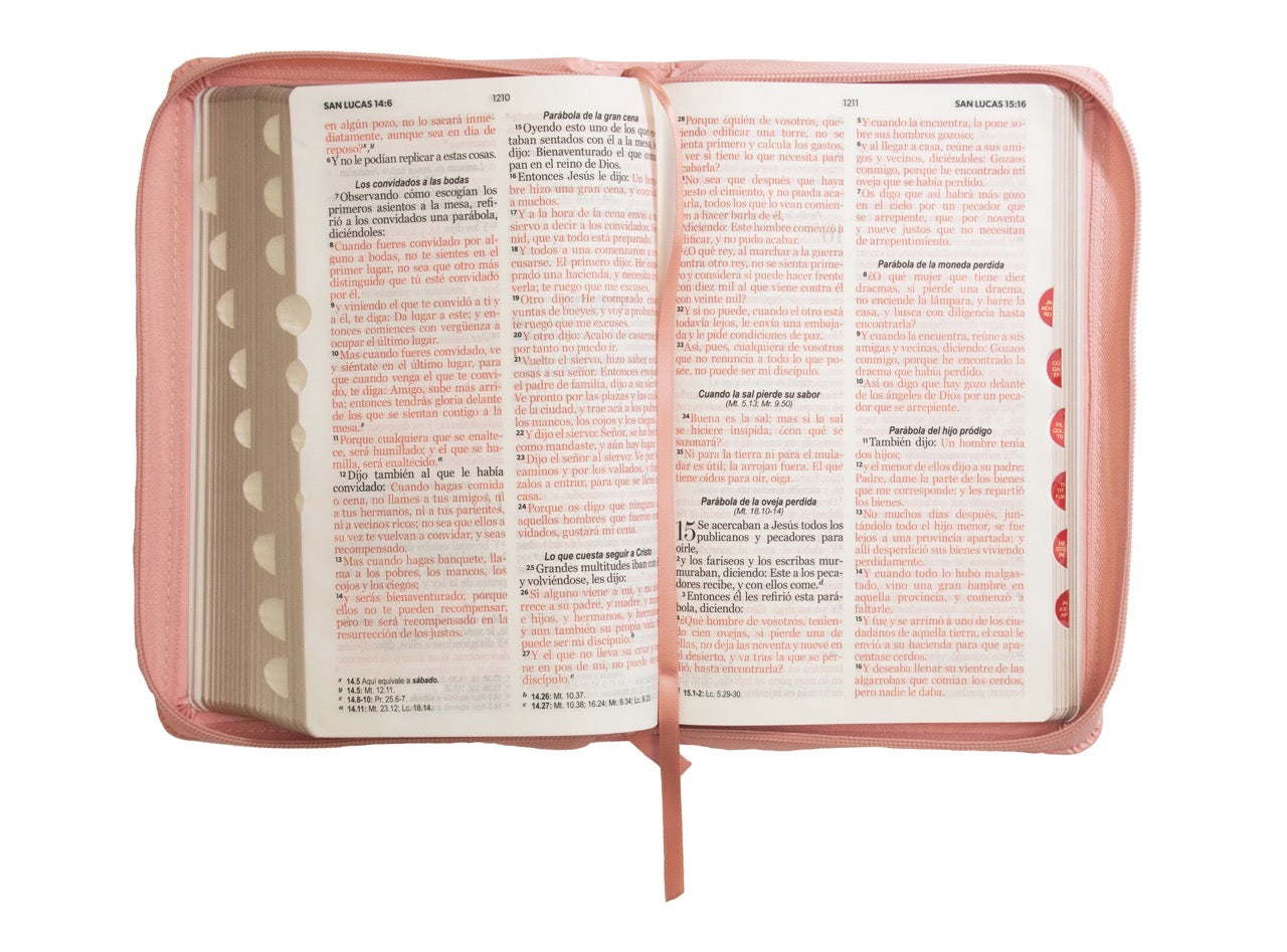 Biblia RVR60 Tamaño Manual Letra Grande rosa cierre indice