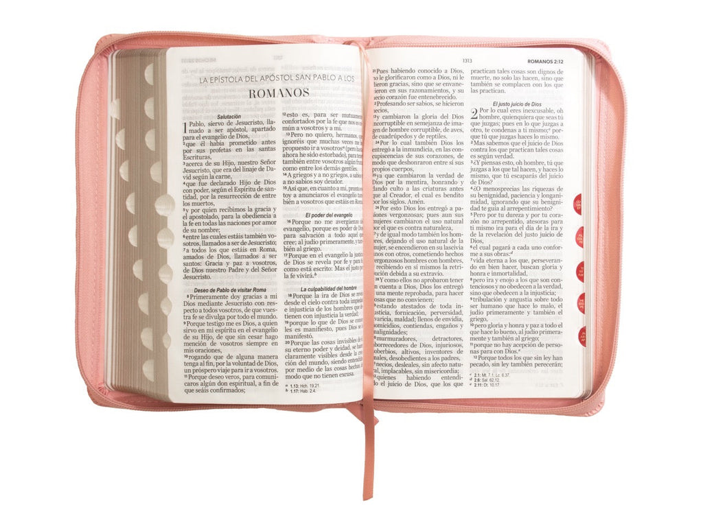 Biblia RVR60 Tamaño Manual Letra Grande rosa claro