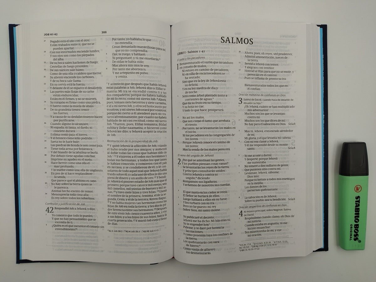 Biblia RVR 1960 Ultrafina Azul Bordado sobre Tela