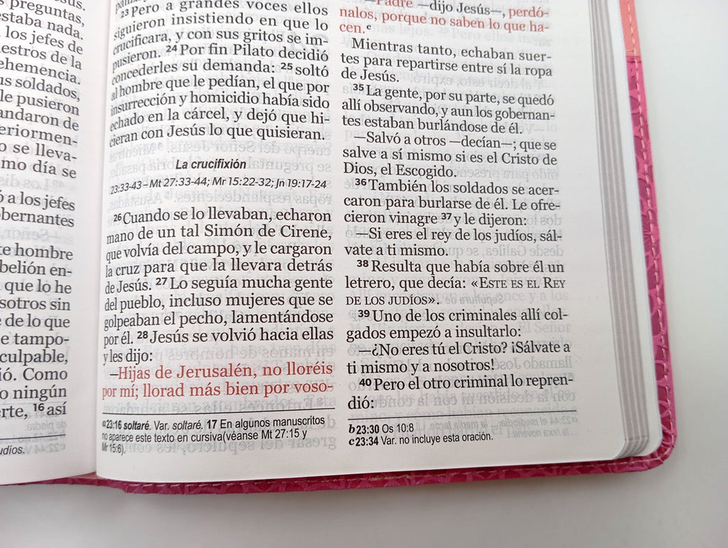 Biblia NVI Peninsular Tamaño manual letra grande rosa