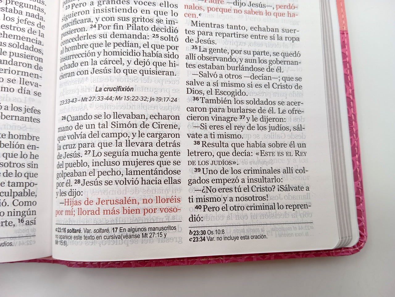 Biblia NVI Peninsular Tamaño manual letra grande rosa