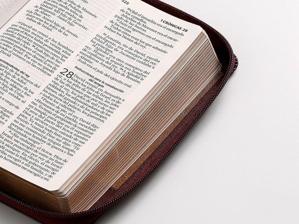 Biblia NVI Peninsular Portátil Letra Grande Bicolor Café