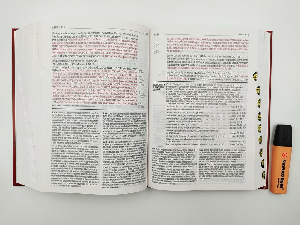 Biblia RVR 1960 de Estudio Diario Vivir Letra Grande Vino Tinto Tapa Dura Índice