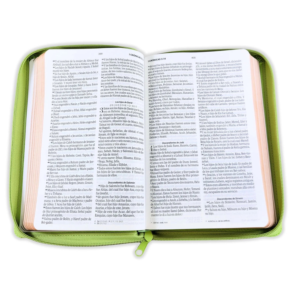 Biblia RVR60 de Obsequios y premios Verde Olivo con cierre