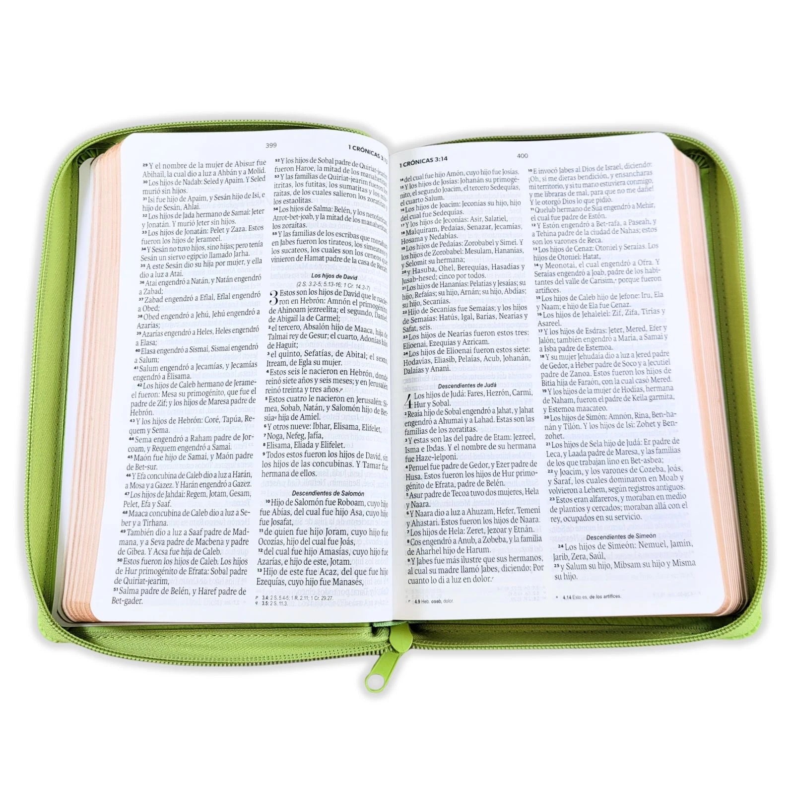 Biblia RVR60 de Obsequios y premios Verde Olivo con cierre
