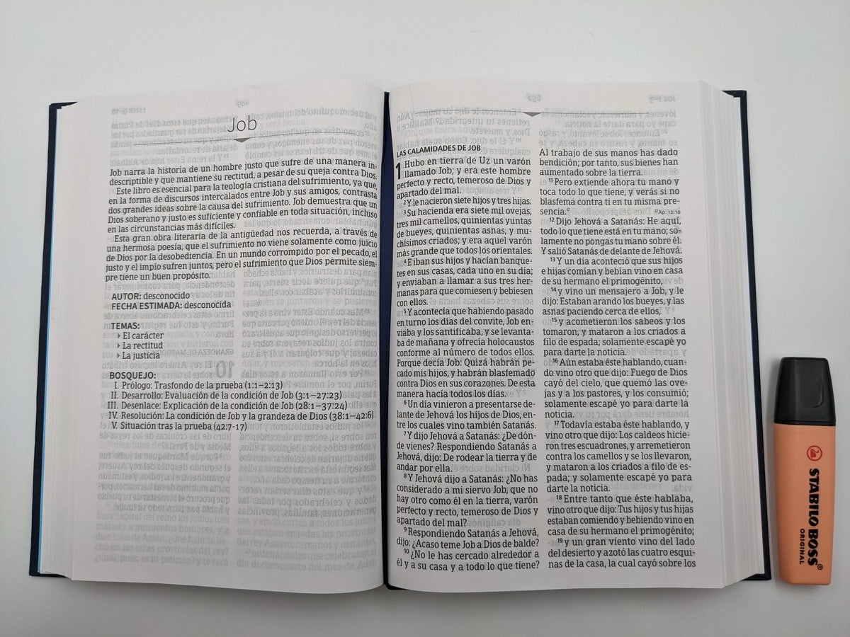Biblia RVR 1960 Letra Gigante Bordado Sobre Tela con Índice