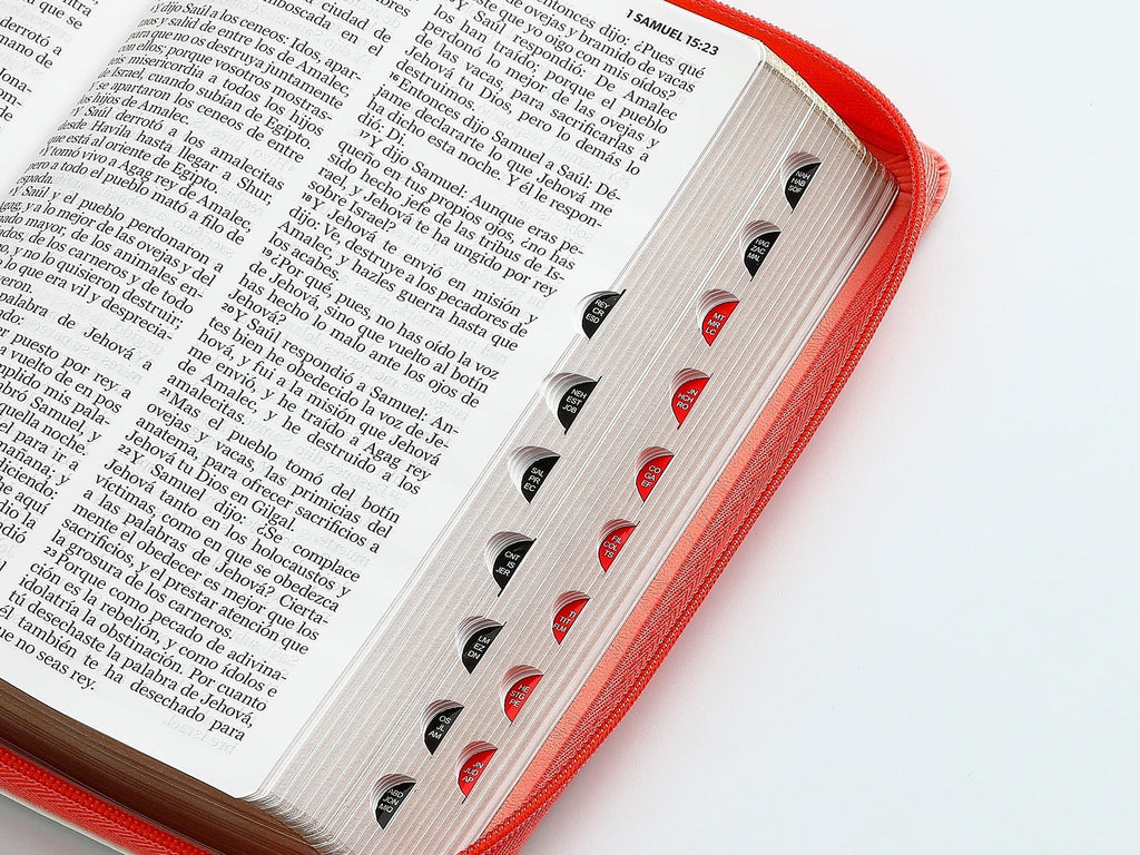 Biblia RVR60 Tamaño Manual letra grande cierre indice