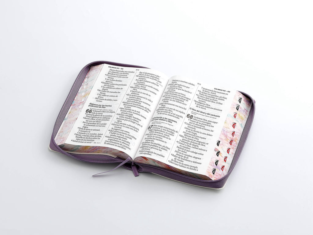 Biblia RVR60 Letra Súper Gigante i/piel jardín Lila con cierre/índice