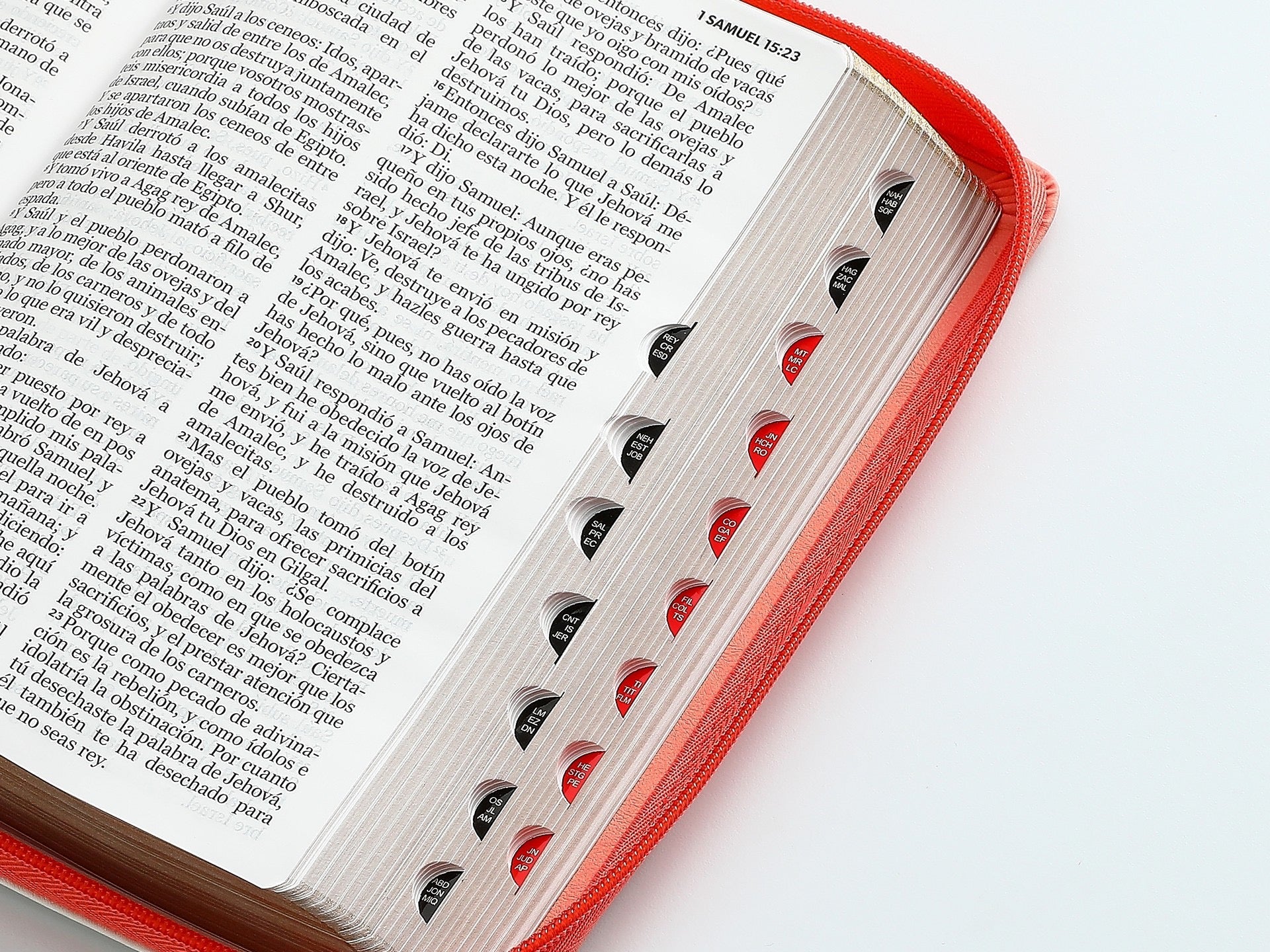 Biblia RVR60 Tamaño Manual letra grande coral